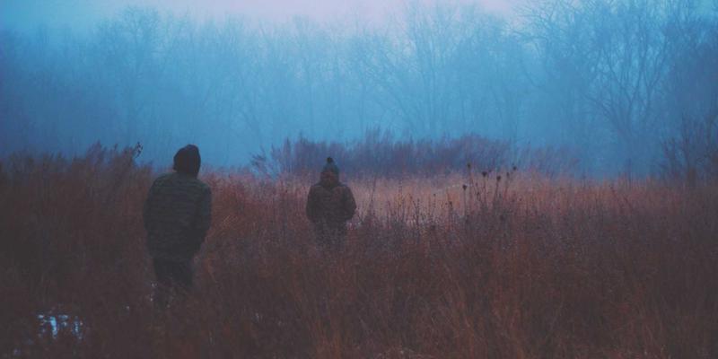 400G ZR/ZR+相干光模块：如何用代码思维重构数据中心互联的成本与架构