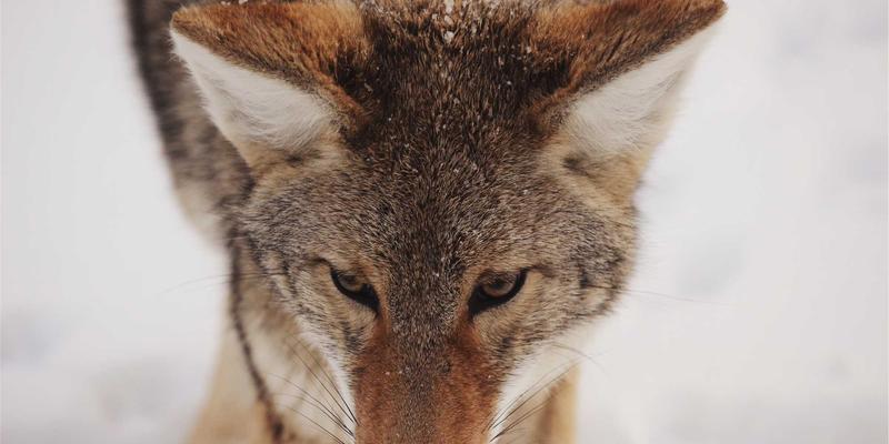 CGZJ888资源分享：揭秘网络技术如何成为企业数字化转型的“中枢神经”与实战策略