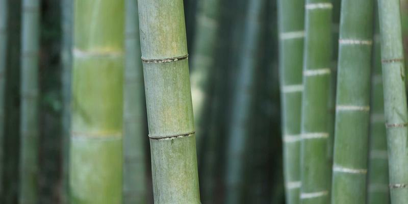 IPv6升级实战指南：企业网络平滑过渡的三大策略与避坑手册