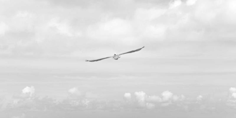 TSN:工业互联网与自动驾驶的确定性网络基石,为何它是开发者的下一个技术高地?