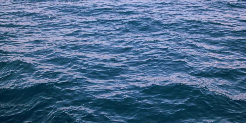 软件定义网络(SDN)实战指南:解锁企业网络架构的敏捷性与智能